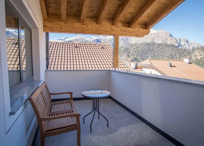 Steinwender * 나우더스